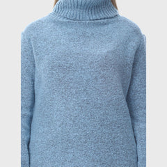 Women's Solid Pattern Turtleneck Soft Knit Pullover Sweater Ideal for Daily Use